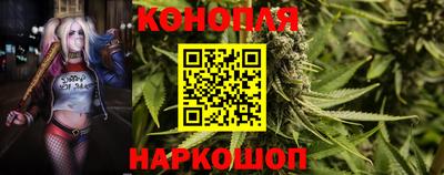 бошки Новодвинск
